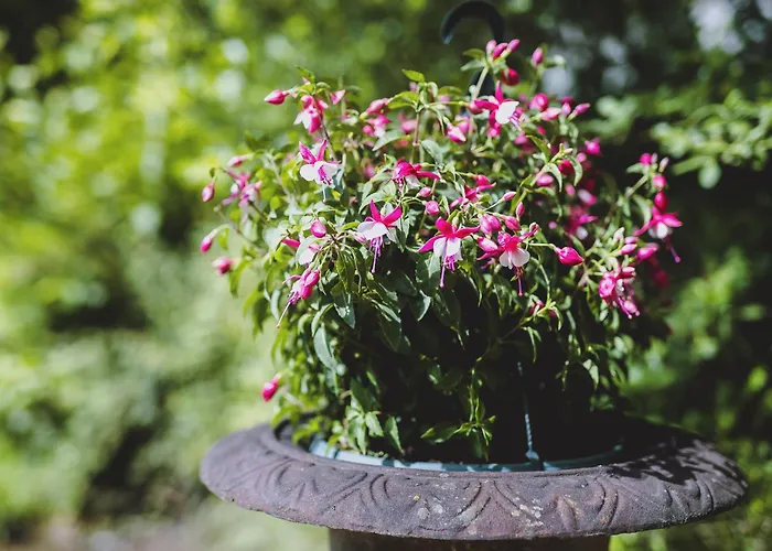 Διαμέρισμα By We Rent